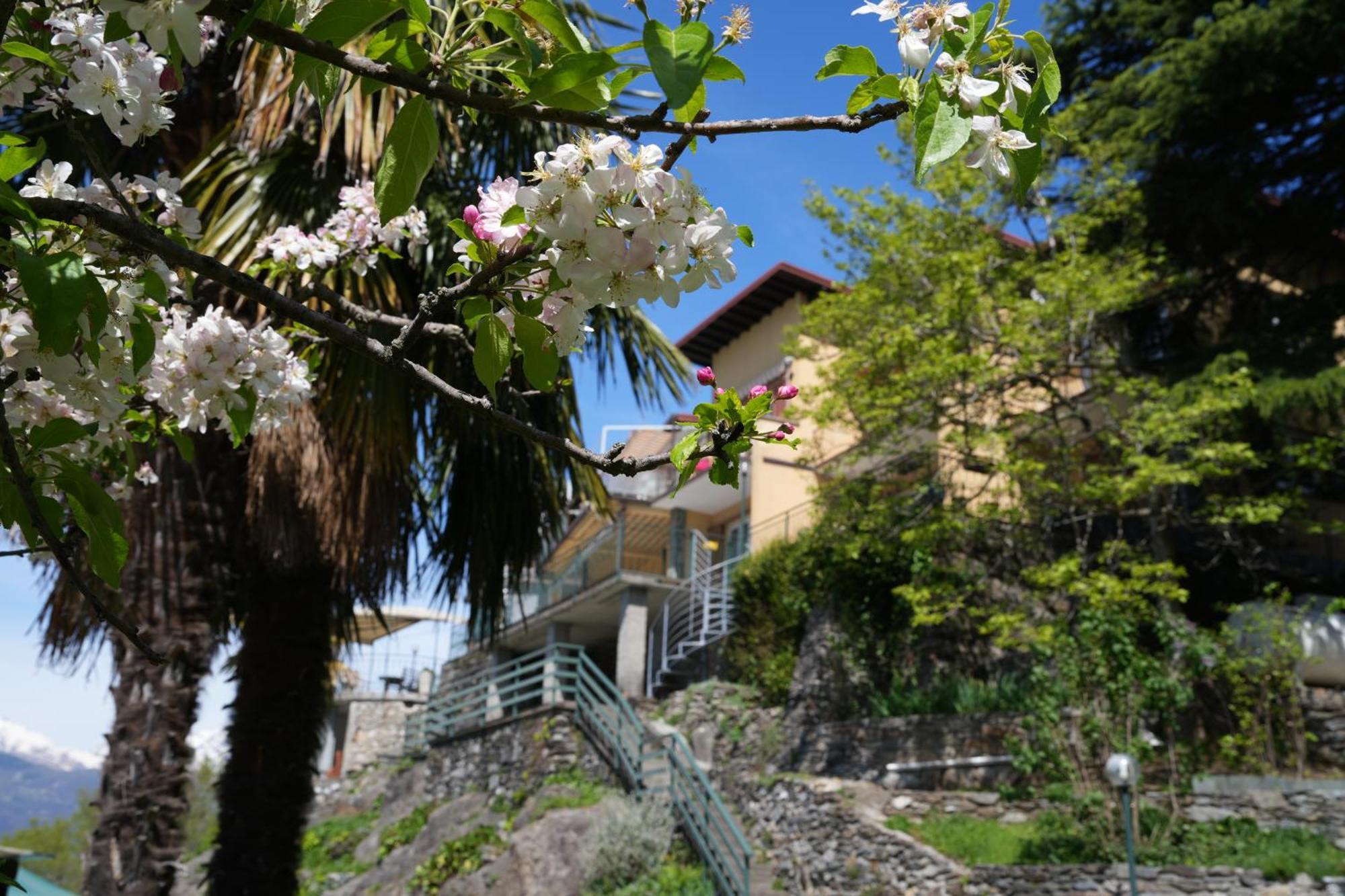 Appartamento Welcomely - Casa Porta Di Cielo Dervio Esterno foto